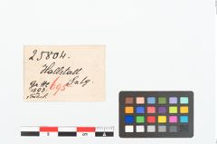 Etikett zu Bronzekahnfibel (NHMW-PRAE-025804)